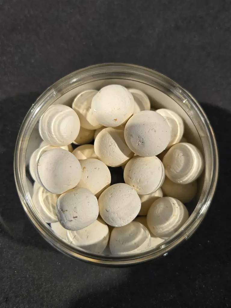 WAFTERS GLM SQUID 2.0